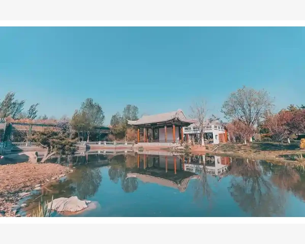 通过脉搏快血压正常气血不足：中医角度解读与调理方法